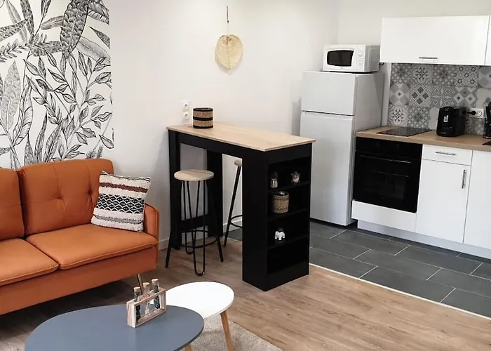 Apartamento Charmant F2 - Hypercentre - Wifi Gratuite El Havre
